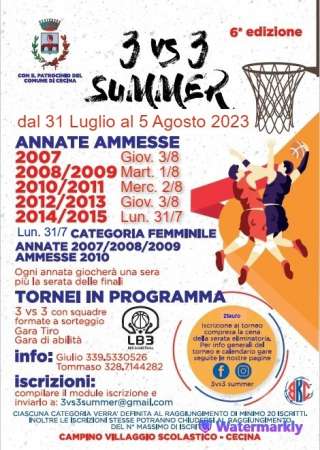 3vs3 Summer - basket cecina