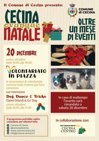 Associazioni volontariato e dog dance a Cecina