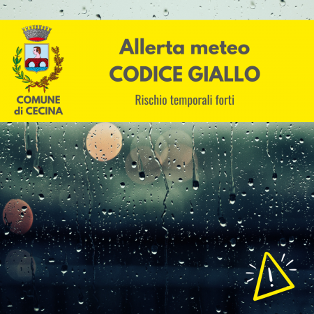 Allerta meteo codice GIALLO per rischio TEMPORALI FORTI