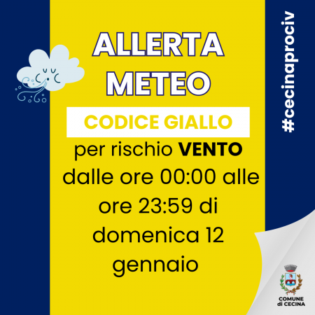 ALLERTA METEO