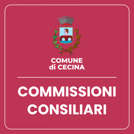 Commissioni Consiliari