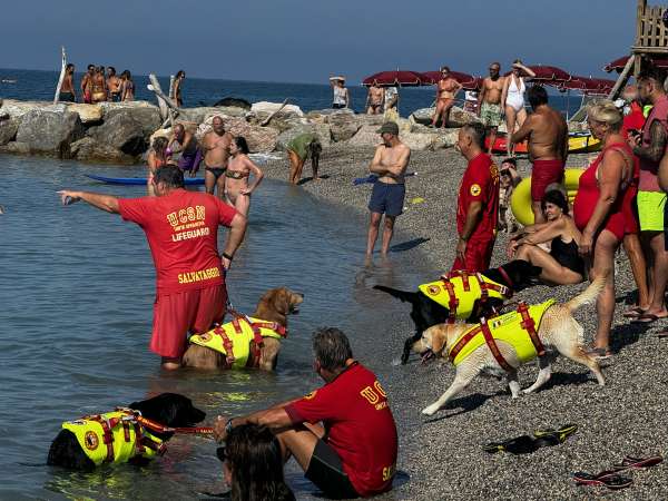 Salvamento in mare con unità cinofile