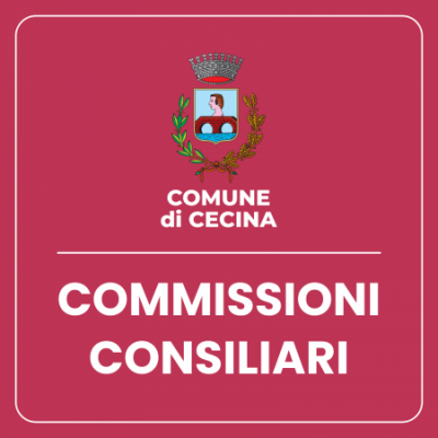 Commissioni Consiliari